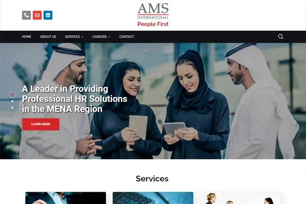 AMS International Consultancy